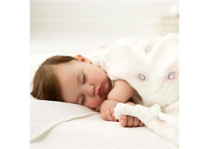 silky soft dream blanket