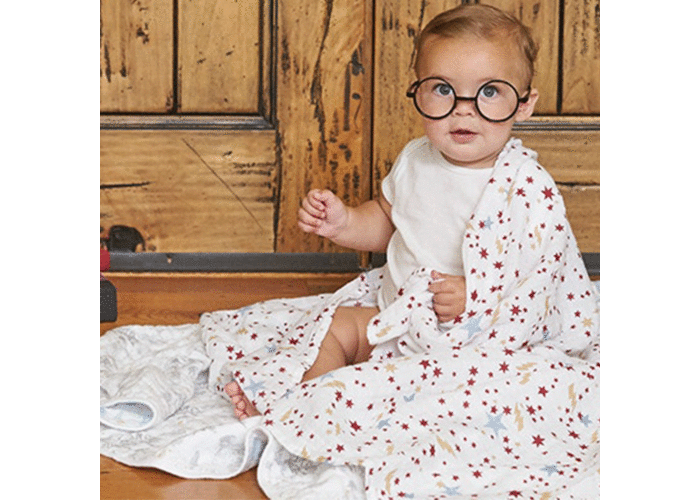 harry potter swaddle aden and anais