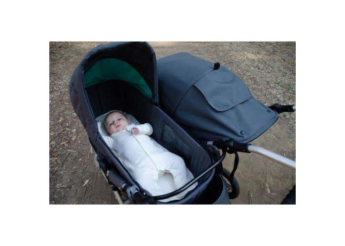 bumbleride bassinet