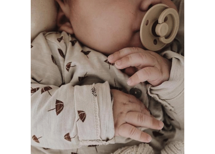 infant bibs pacifier