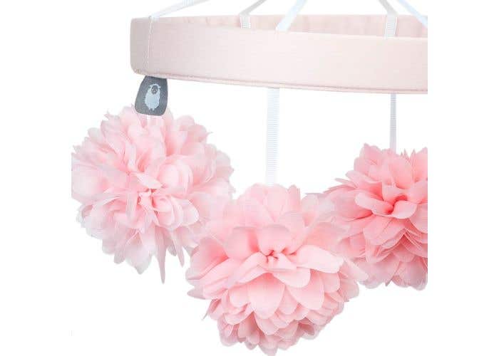 lambs and ivy botanical