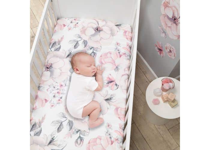 lambs and ivy botanical