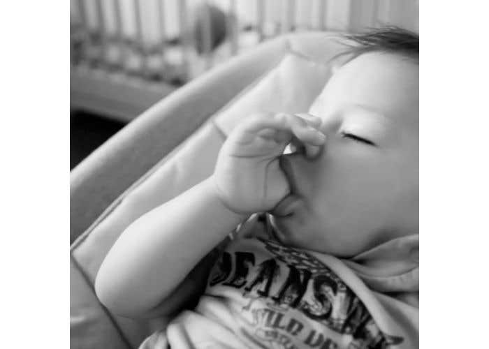 nuna leaf wind accessory